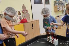 IMG_20260206_0726482