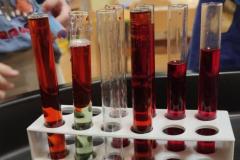 IMG_20260206_0726572