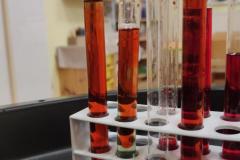 IMG_20260206_0727161