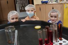 IMG_20260206_0727271