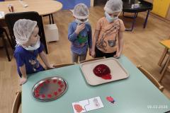 IMG_20260206_0733252