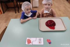 IMG_20260206_0735211