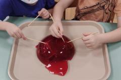 IMG_20260206_0739062