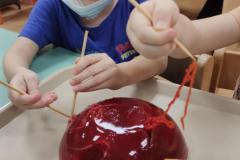 IMG_20260206_0739371