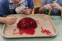 IMG_20260206_0741222