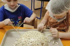 IMG_20260206_0741281