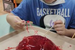 IMG_20260206_0742162