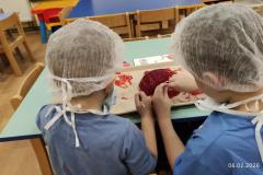 IMG_20260206_0743291