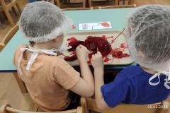 IMG_20260206_0748072