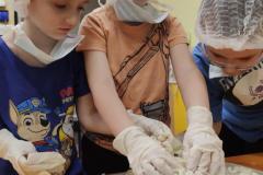 IMG_20260206_0752382