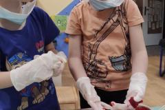 IMG_20260206_0753451