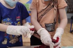 IMG_20260206_0753561