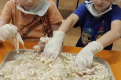 IMG_20260206_0755022