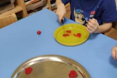 IMG_20260206_0806332