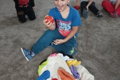 IMG_20241014_095225