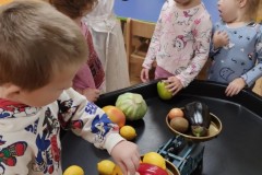 IMG_20241015_070741