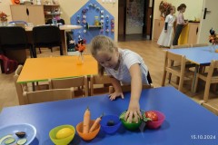 IMG_20241015_071923