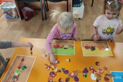 IMG_20241015_075850