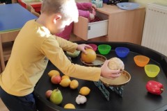 IMG_20241015_082238