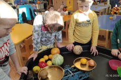 IMG_20241015_082758