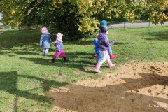 IMG_20241015_103428