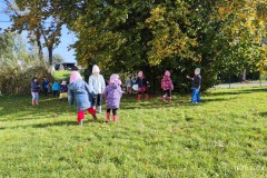 IMG_20241016_102746