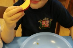 IMG-20201016-WA0025