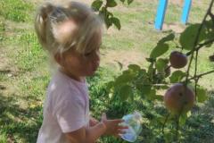 IMG_20260908_103746