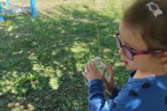 IMG_20260908_103752