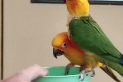 IMG_20220504_102726