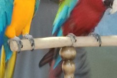 IMG_20220504_104400