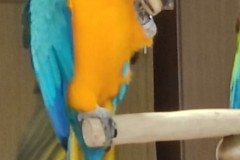 IMG_20220504_104514