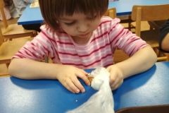 IMG_20201216_094732