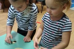 IMG_20201111_080439