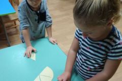 IMG_20201111_080518