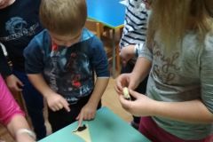 IMG_20201111_081137