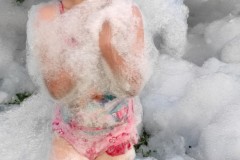 IMG_20220620_095418