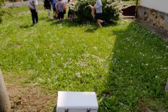 IMG_20210611_105053