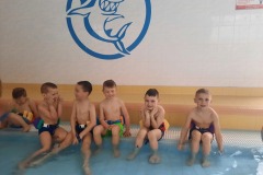 Plavání 1/2025