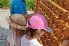 IMG_20230622_093140
