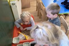 IMG_20250929_144550889_AE