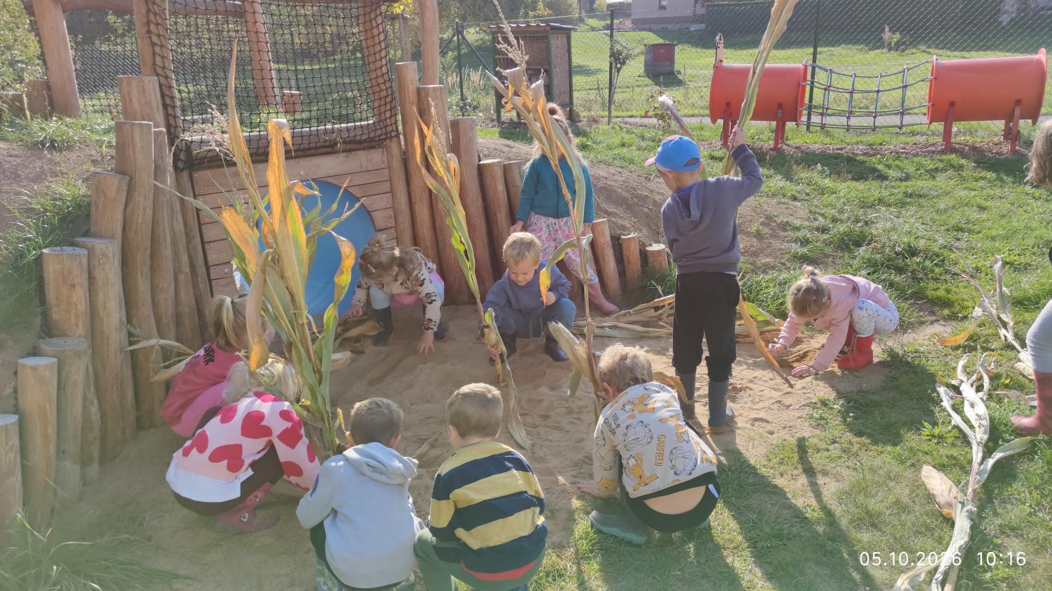 IMG_20261005_101624