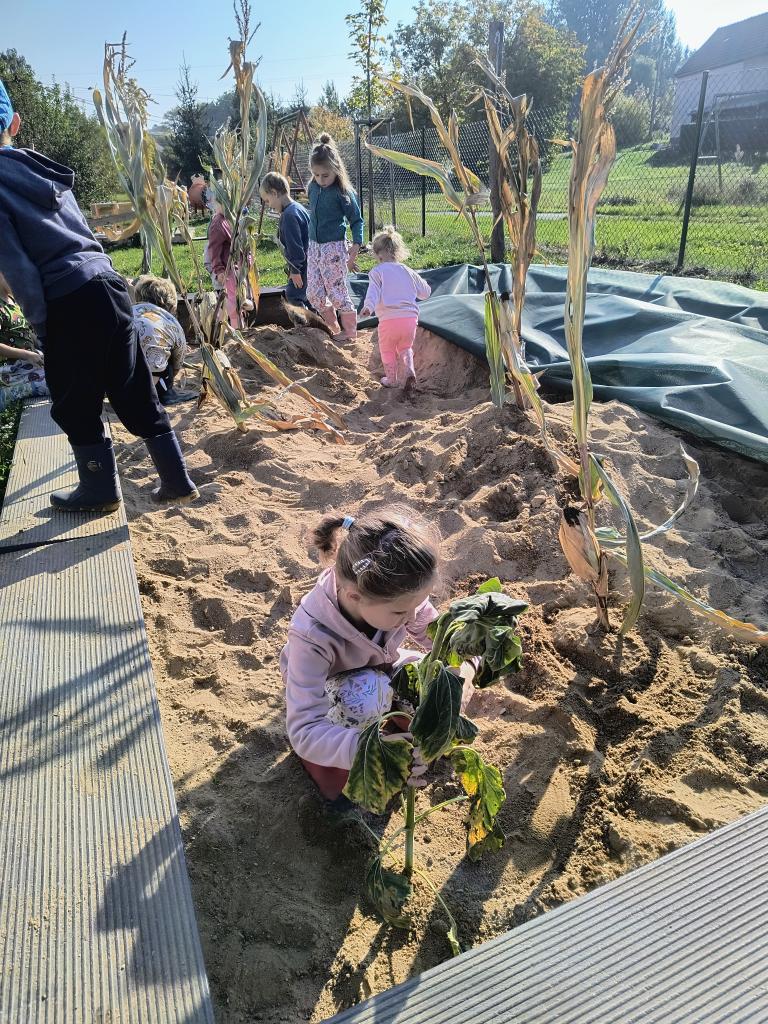 IMG_20261005_101952868_HDR_AE