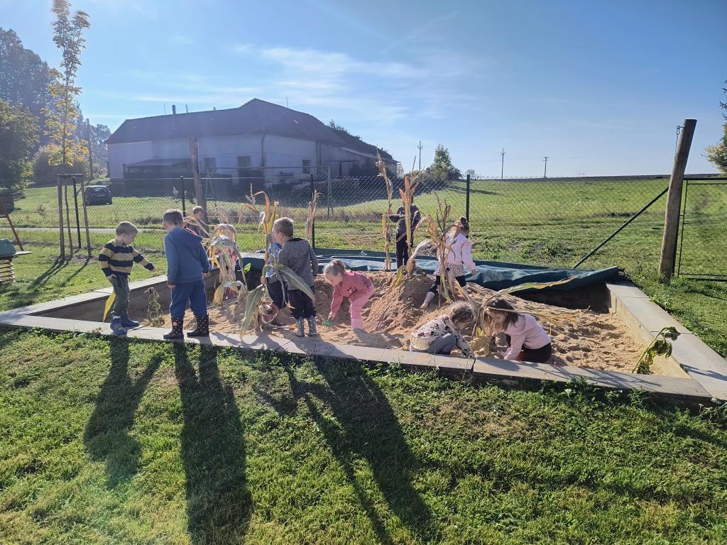 IMG_20261006_101633763_HDR_AE