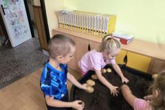 IMG_20261005_065912775_AE