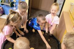 IMG_20261005_070058640_AE