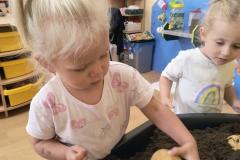 IMG_20261005_074814069_AE