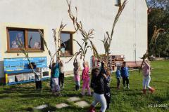 IMG_20261005_101502