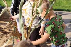 IMG_20261005_102116