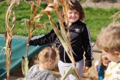 IMG_20261005_102124